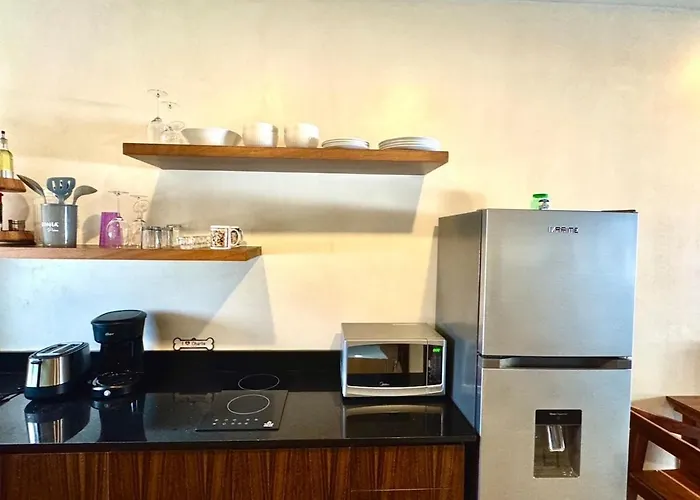 Apartment Jungle Loft With Pool And Rooftop Near And Cenotes And Dowtown! Fast Wifi! Perfect For Expats Tulum